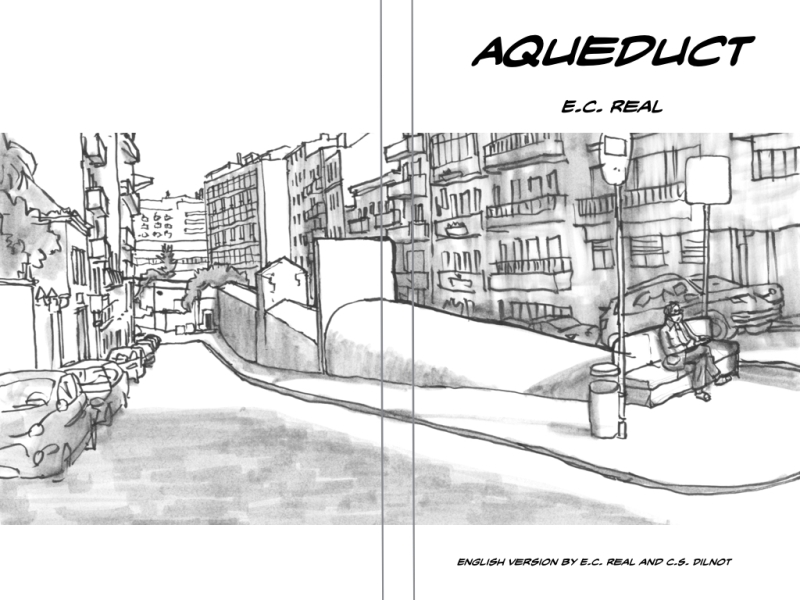 book preview "Aqueduct"